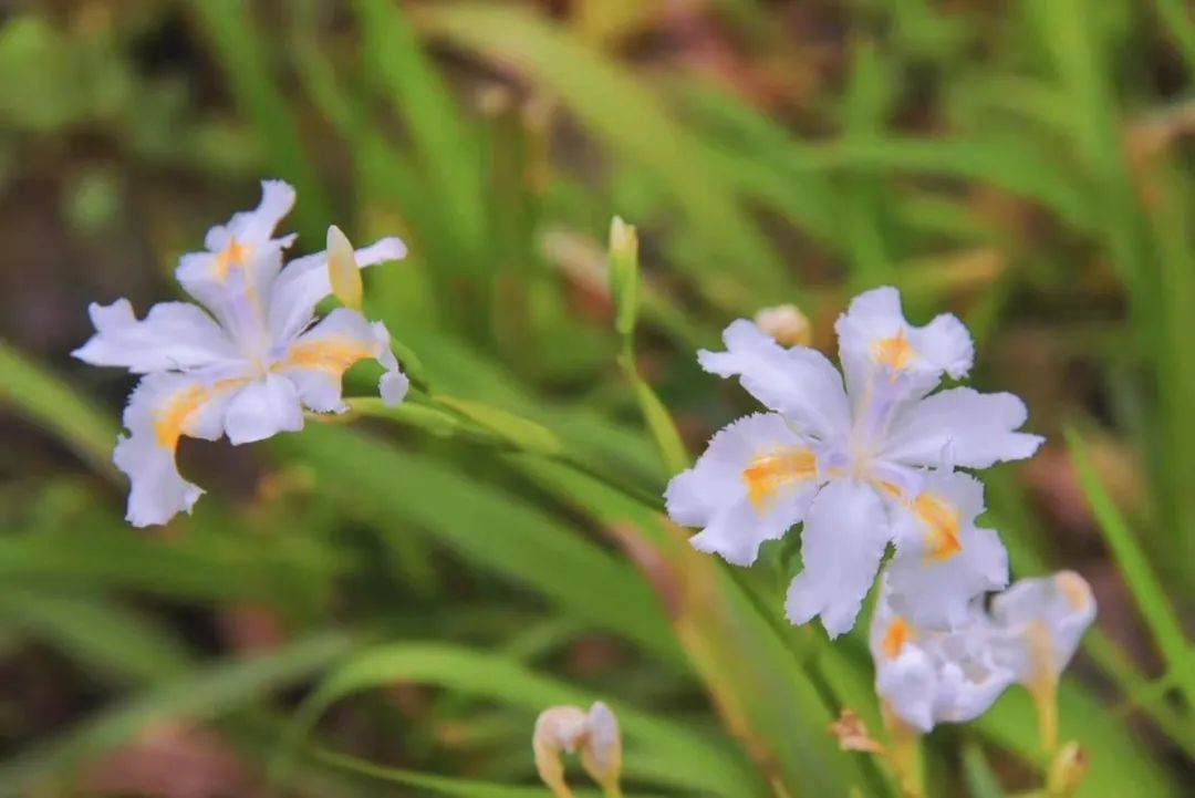 好博(中国)体育智能科技股份有限公司网站